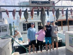 10 Southern Flounder fish caught in Islamorada, Florida