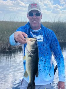 Largemouth Bass caught while fishing in Islamorada