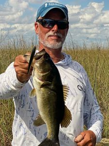 Largemouth Bass caught while fishing in Islamorada