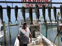 7 Mahi Mahi fish caught while fishing in FL