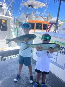 Two mahi mahi fish caught while fishing in Islamorada