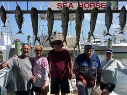 9 mahi mahi fish caught by 5 people in Islamorada