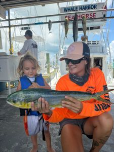 Fresh caught mahi mahi and wahoo displayed at Whale Harbor marina in Islamorada FL after successful fishing trip