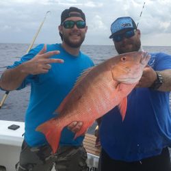 Mutton Snapper fish caught while fishing in FL