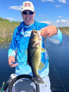 Smallmouth bass caught in FL