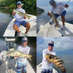 4 snook fish caught in FL