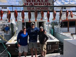 Fishing expedition with 11 fish caught in FL