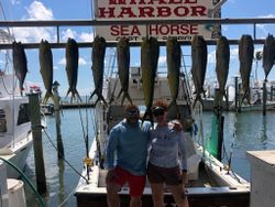 9 huge fish caught while fishing in FL