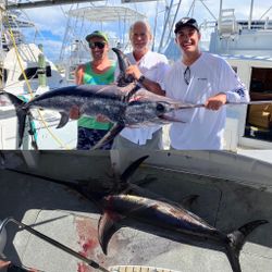 Two swordfish caught on a fishing trip in FL