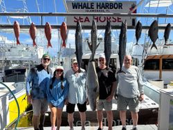 7 wahoo fish caught in Islamorada