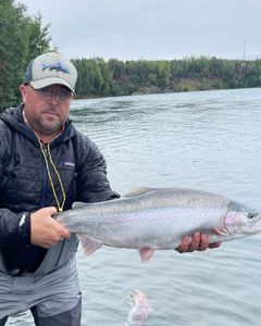 Freshly caught salmon sparkling