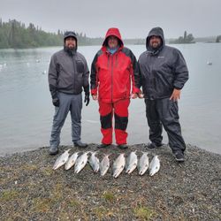 Early morning cast on the Kenai River