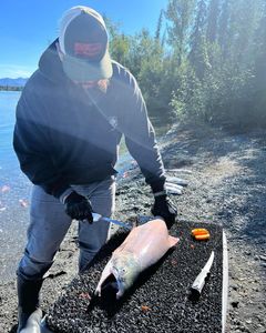 Catch & Filleting Service