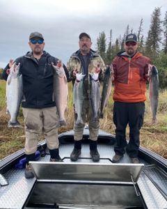 Living the dream on Alaska’s most famous salmon