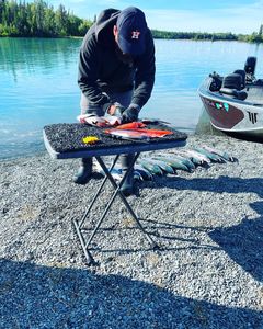 Fishing in Sterling