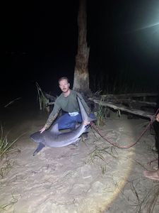 Nighttime bull shark catch!