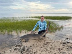 Impressive bull shark catch at the shore!