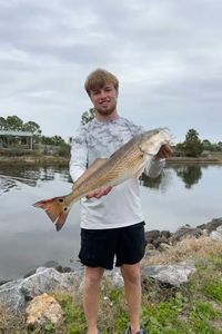 Fish-Species