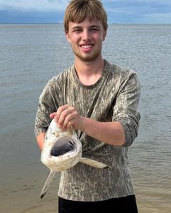 Fish-Species
