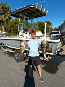 Fish-Species