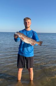 Fish-Species