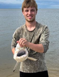 Big-mouth bull shark catch!