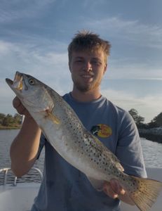 Fish-Species