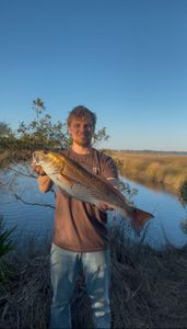 Fish-Species
