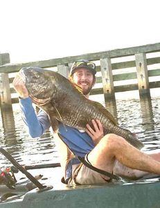 Fish-Species