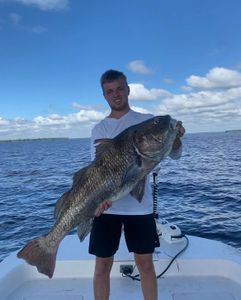 One angler fishing at Shell Point Beach