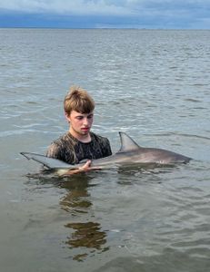 Angler catching 19-inch Atlantic Sharpnose Shark in FL