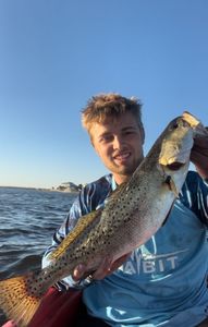 Fish-Species