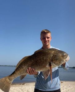 Fish-Species