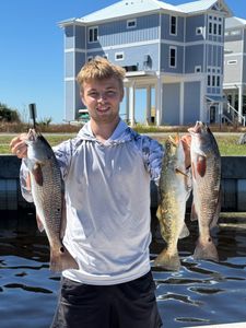 3 redfish and spotted weakfish caught at Shell Point Beach