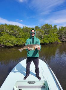 Redfish, 25-inch fish caught while fishing in FL