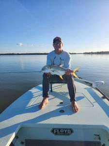 Crevalle Jack fish caught fishing in FL