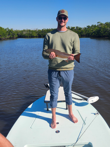 Fort Myers redfish taken on fly and light tackle!