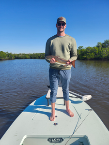 Fort Myers redfish on fly fishing and light tackle!