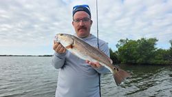 Redfish caught in Fort Myers