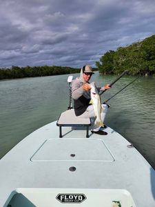 Snook fishing in Fort Myers