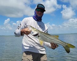 Snook fish caught in FL
