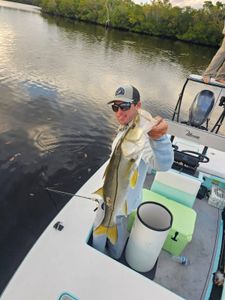 Snook fish caught while fishing in FL