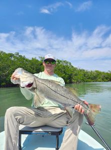Snook fishing in FL