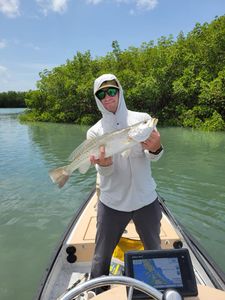 Spotted Weakfish caught while fishing in Fort Myers