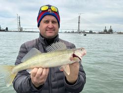 Fish-Species