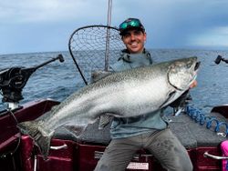 A chinook salmon caught while fishing in MI