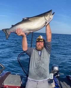 A single chinook salmon caught while fishing in MI