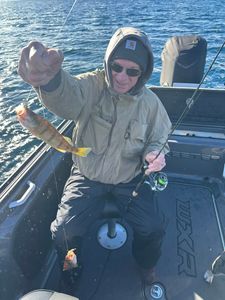 A fisherman in Traverse City reels in a European perch