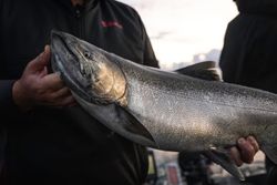 One lone fishing rod in Traverse City