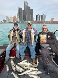 10 walleye caught during fishing trip in Traverse City